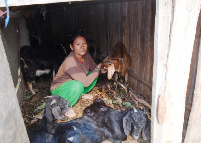 10