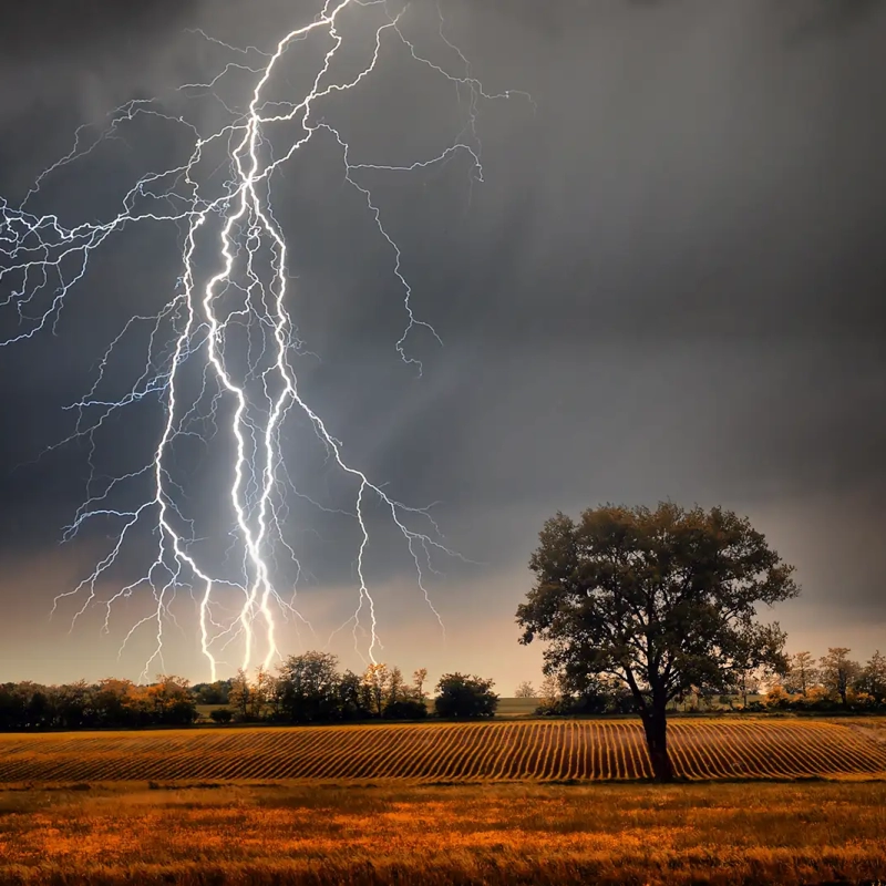 Lightning-farm-field-energy-tree-Weather-electricity (2)